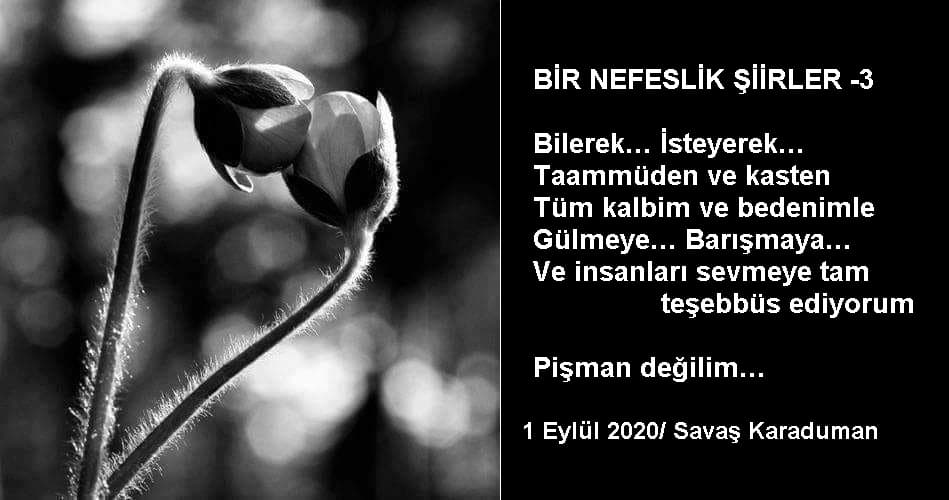 Bir Nefeslik Şiirler 3