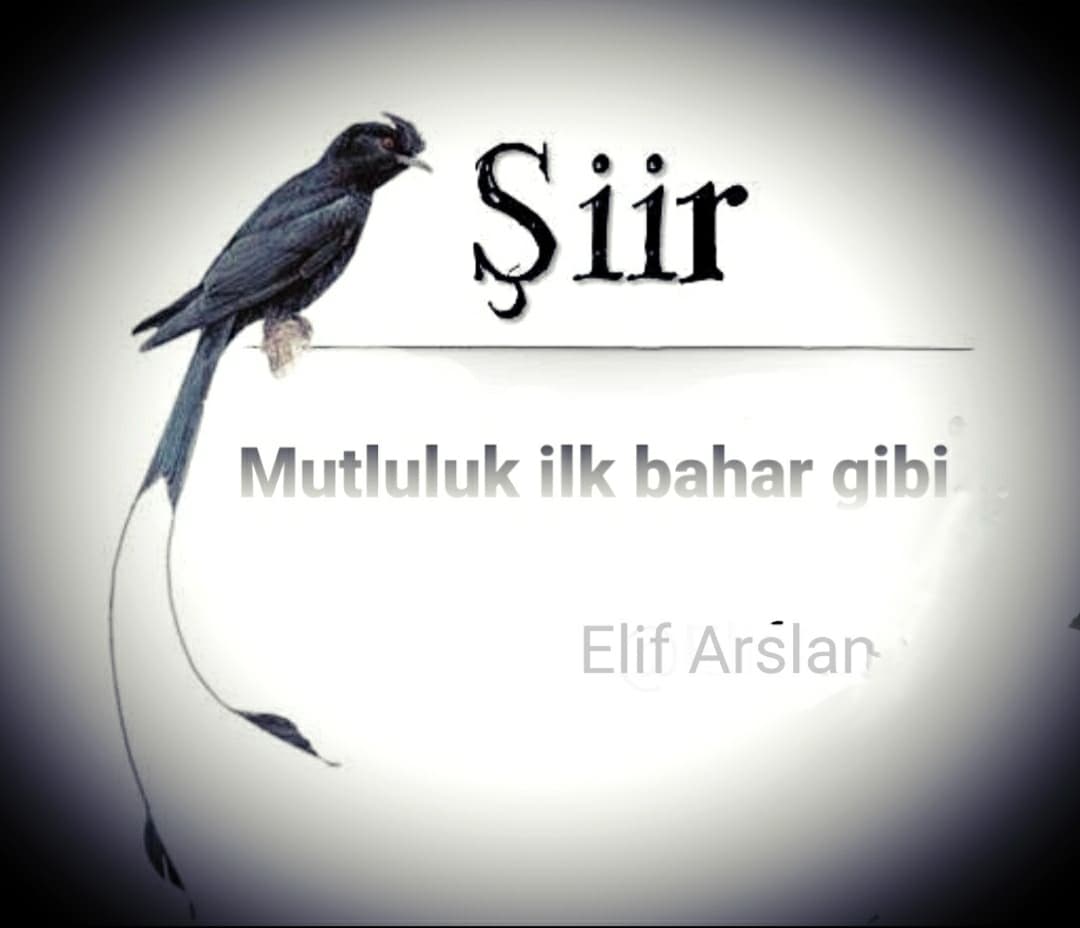 Mutluluk ilk bahar gibi