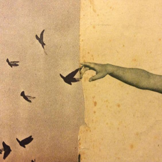 Tını