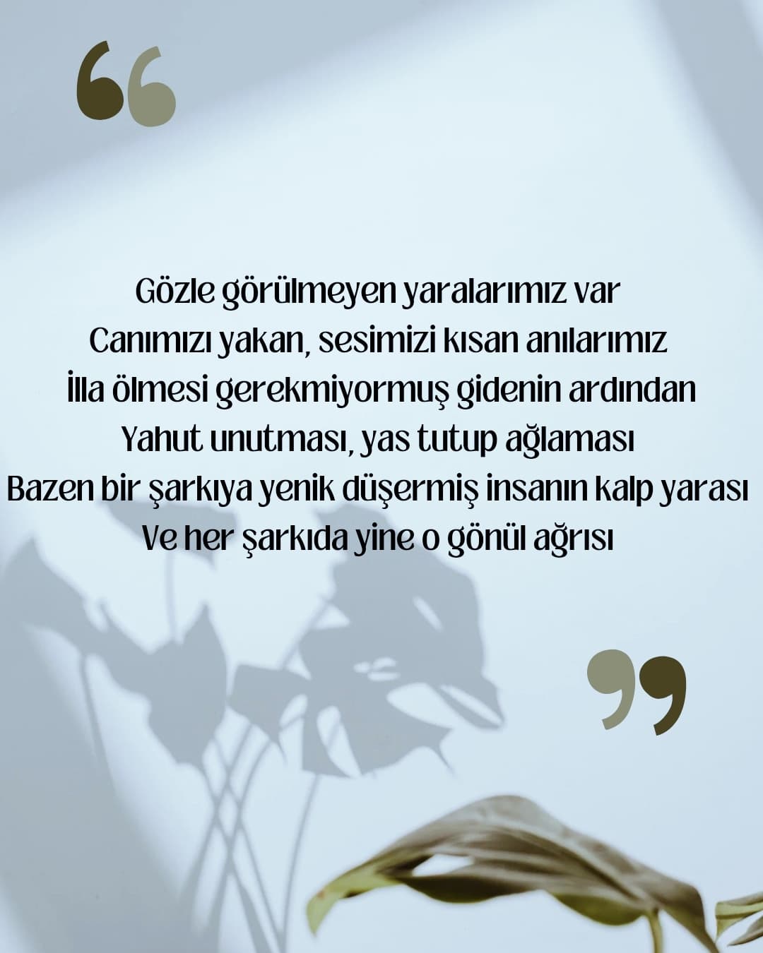 Kalp Yarası Gönül Ağrısı