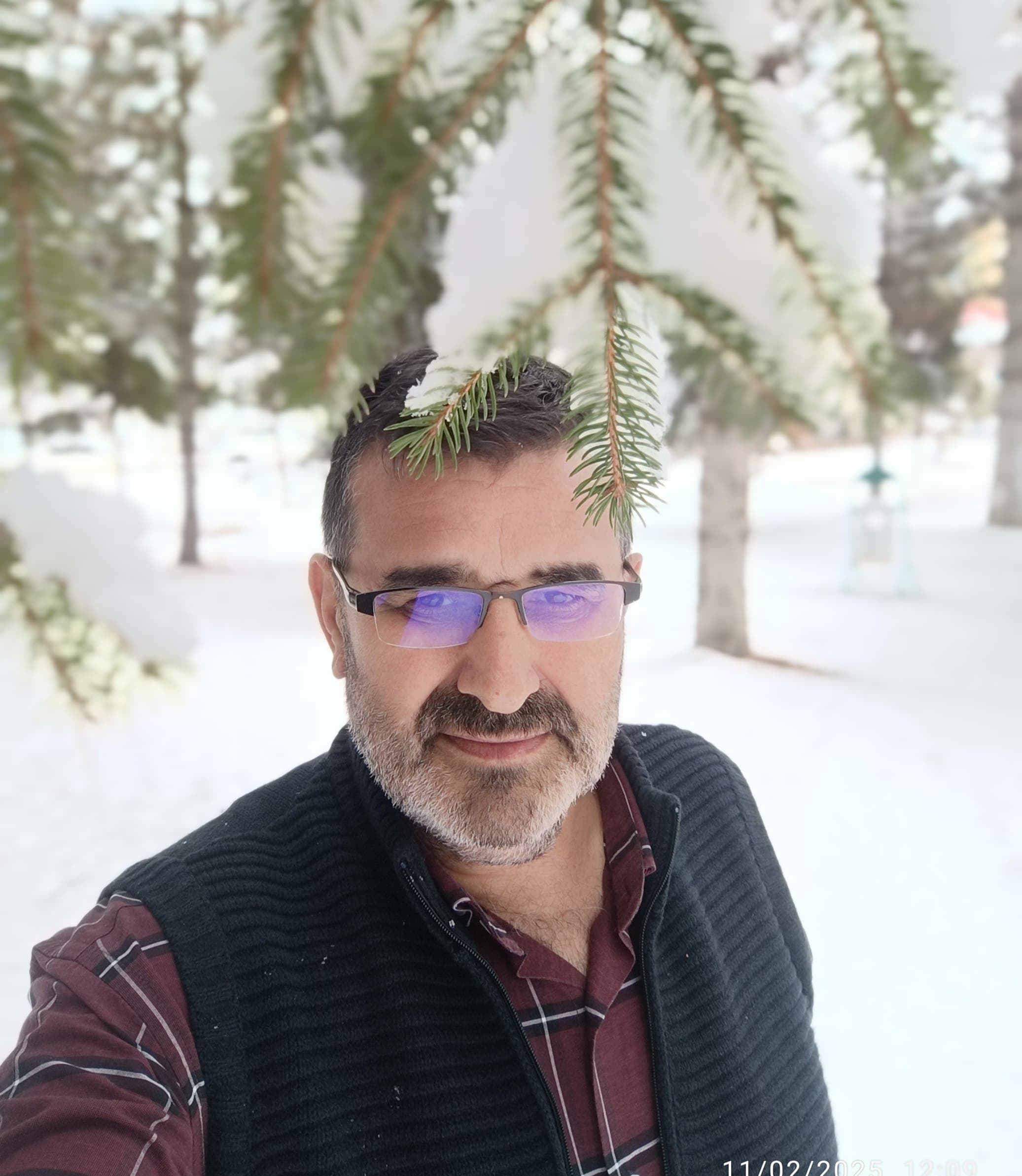 Cemrelerin Evleri
