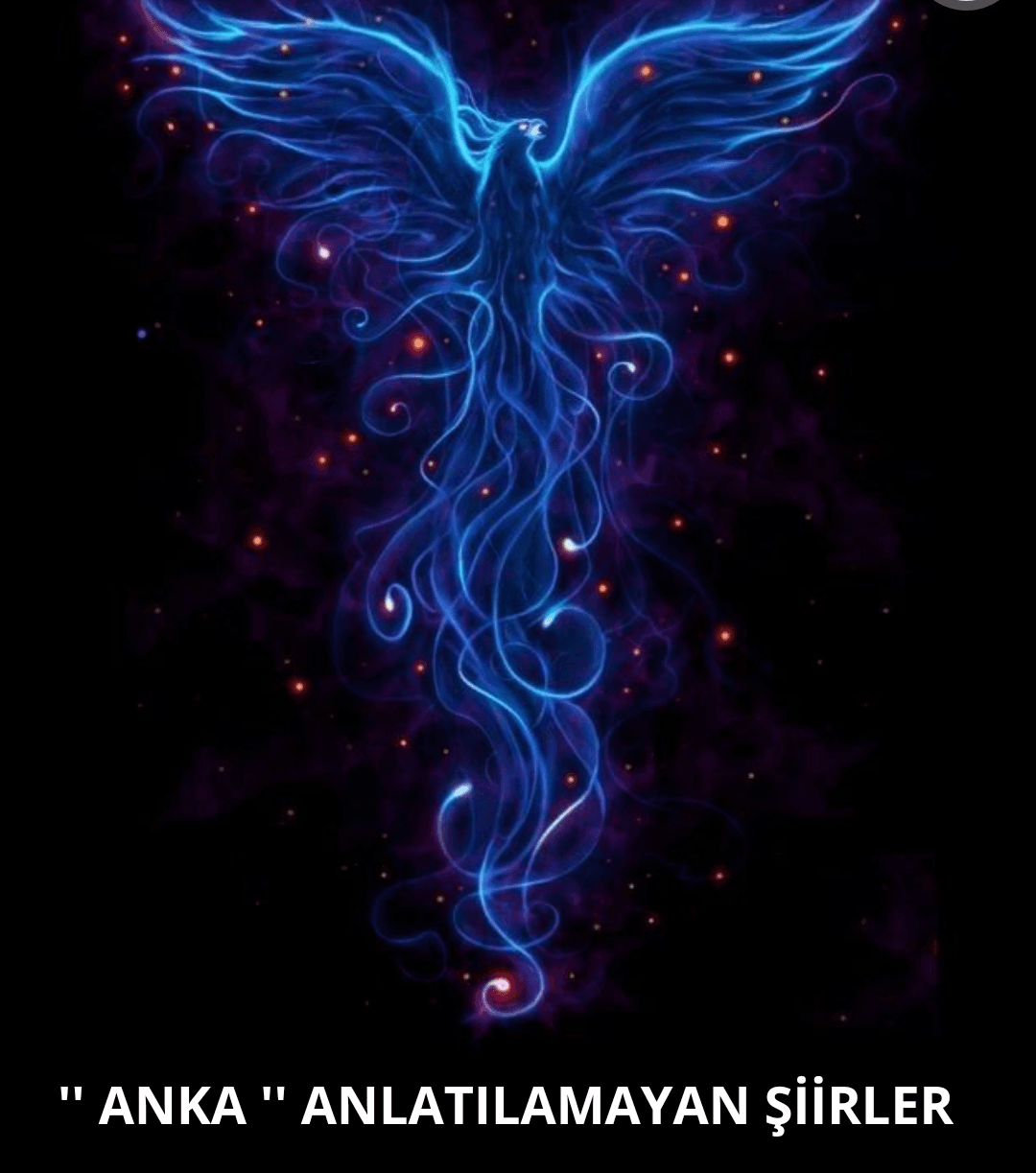 Anka Anlatılmayan Şiirler