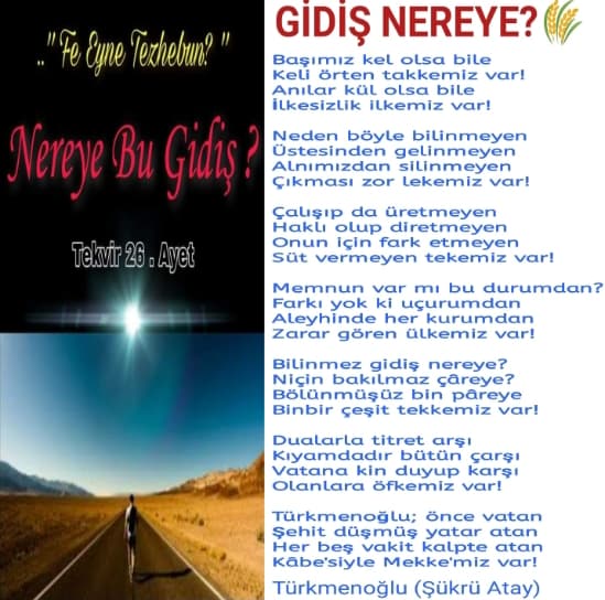 Gidiş Nereye