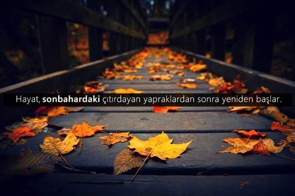 Hoş Geldin Sevgili Sonbahar