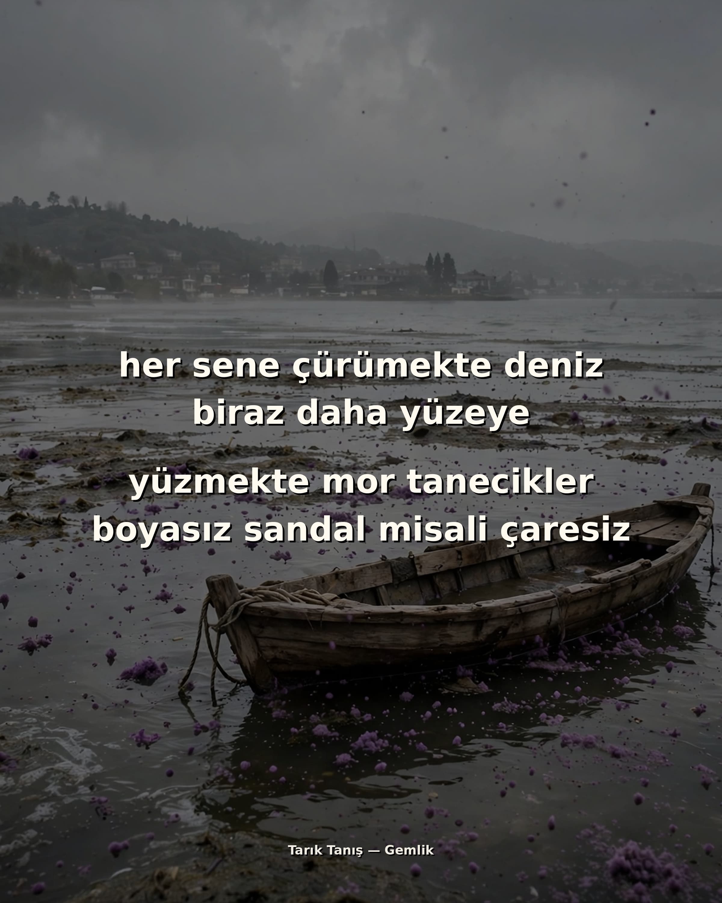 Biraz Daha Yüzeye