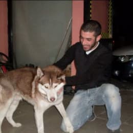 Volkan Akkan