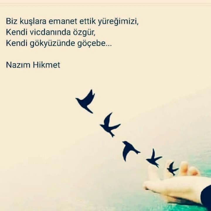 Bir Sabah Uğradım Bağı Gazele