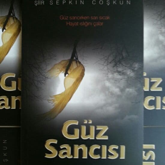 Sepkin Coşkun
