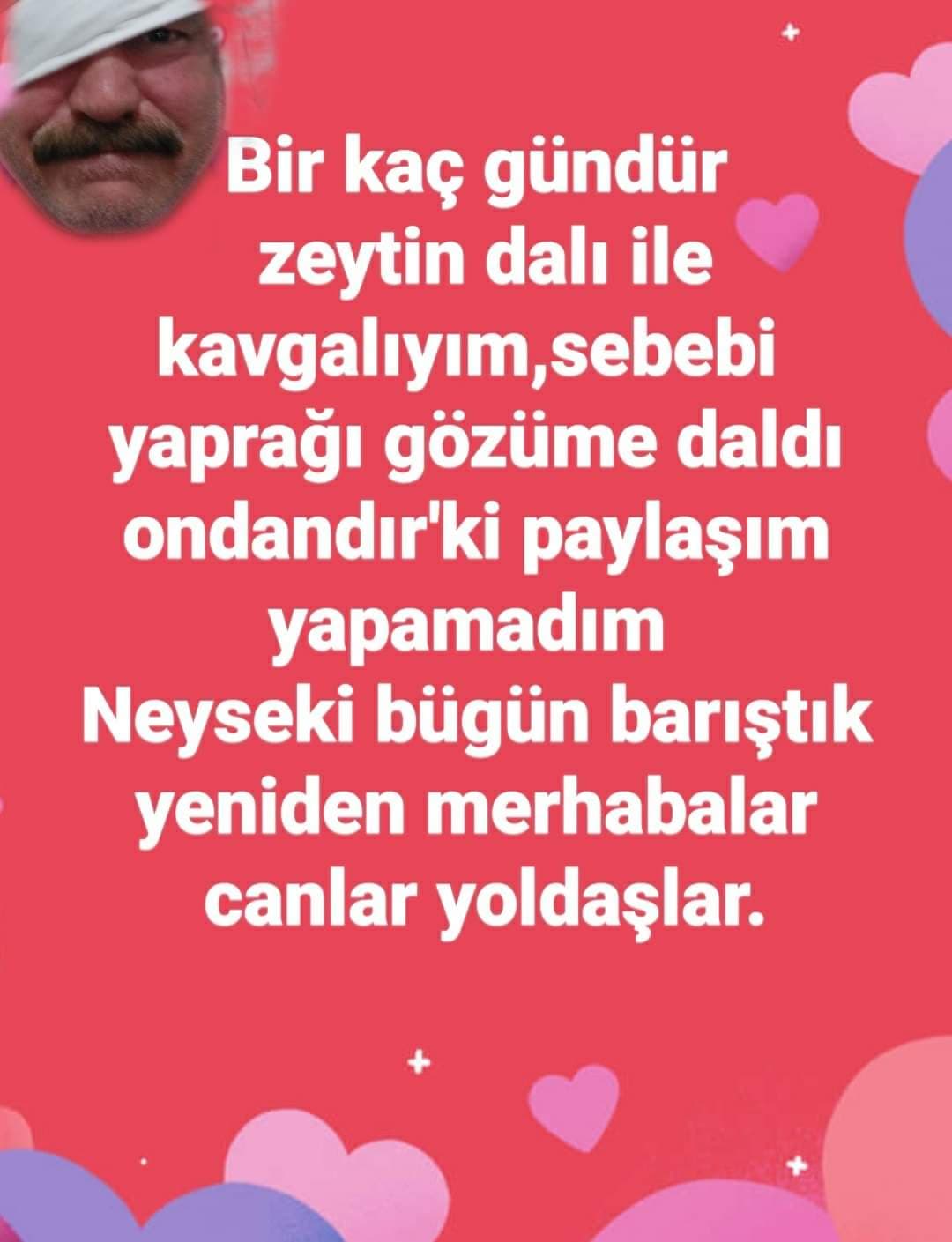 Ol Hakikat / Zeytin Kendi Kırmış O Dalını