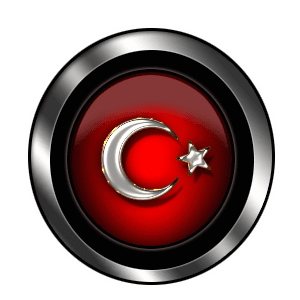 Bir Türk'ün Sesi