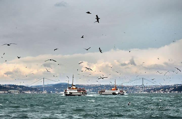 Arkadaş İstanbul