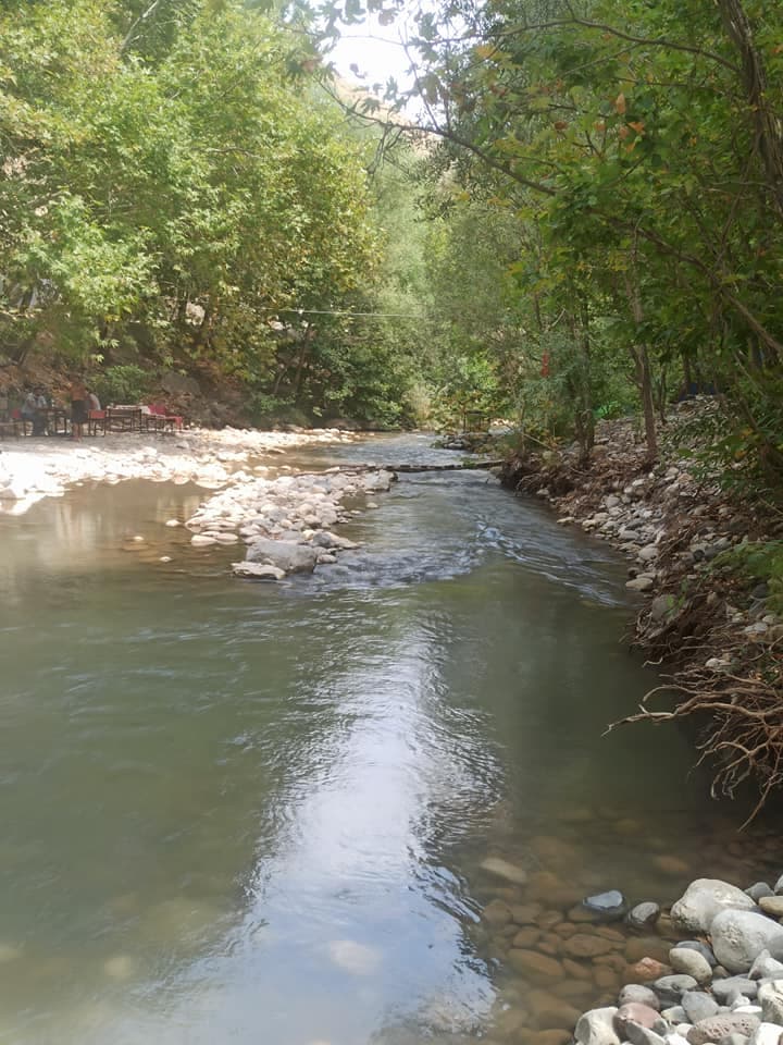 Köyün Varlığı