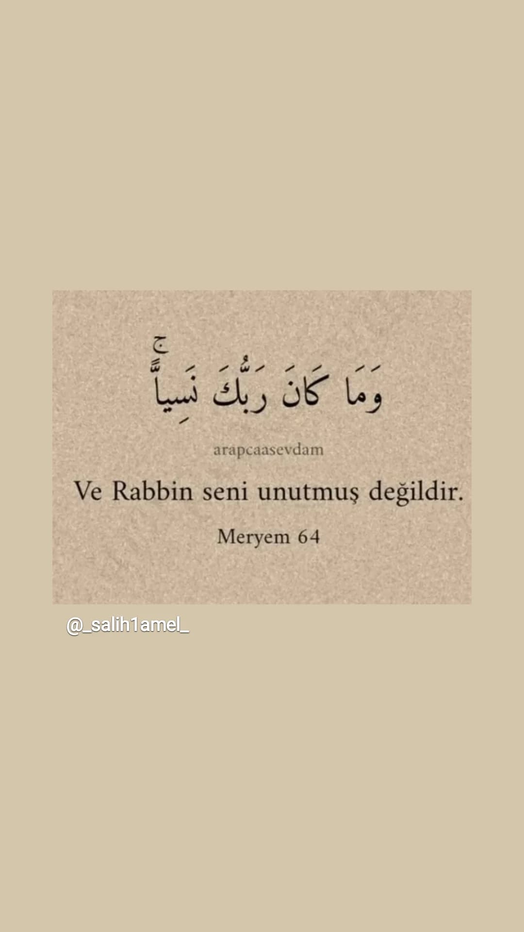 Tarh