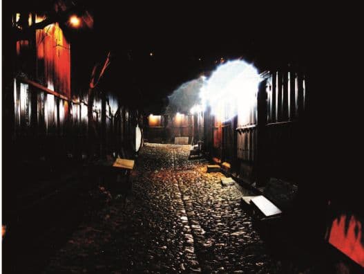 Kollarım Yaralı Martı