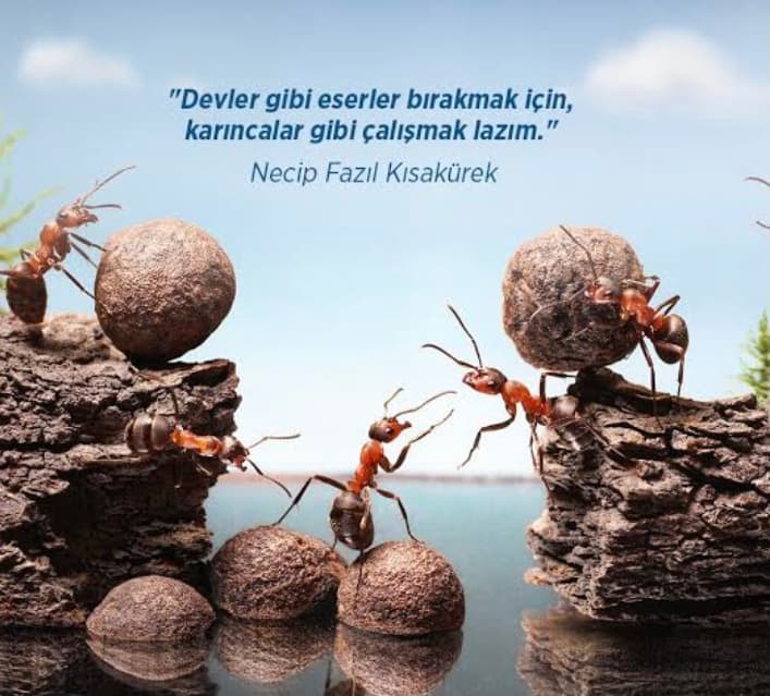 Çalışmak Gerek