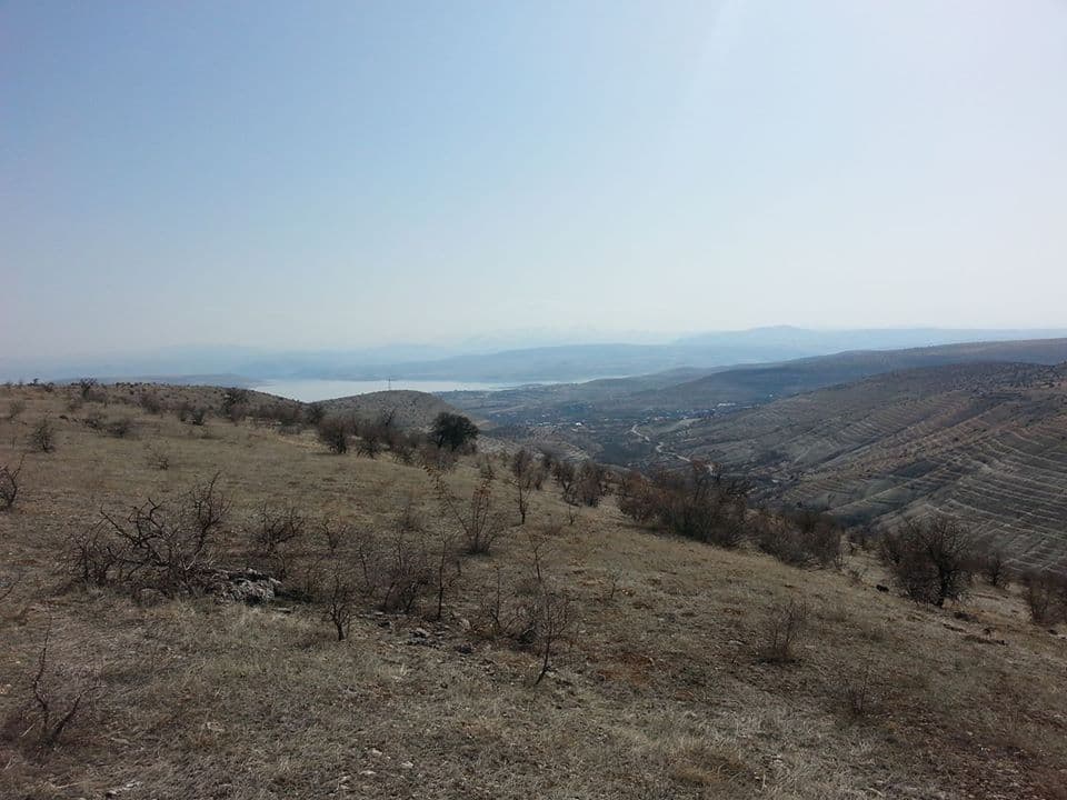 Gaya Dayı