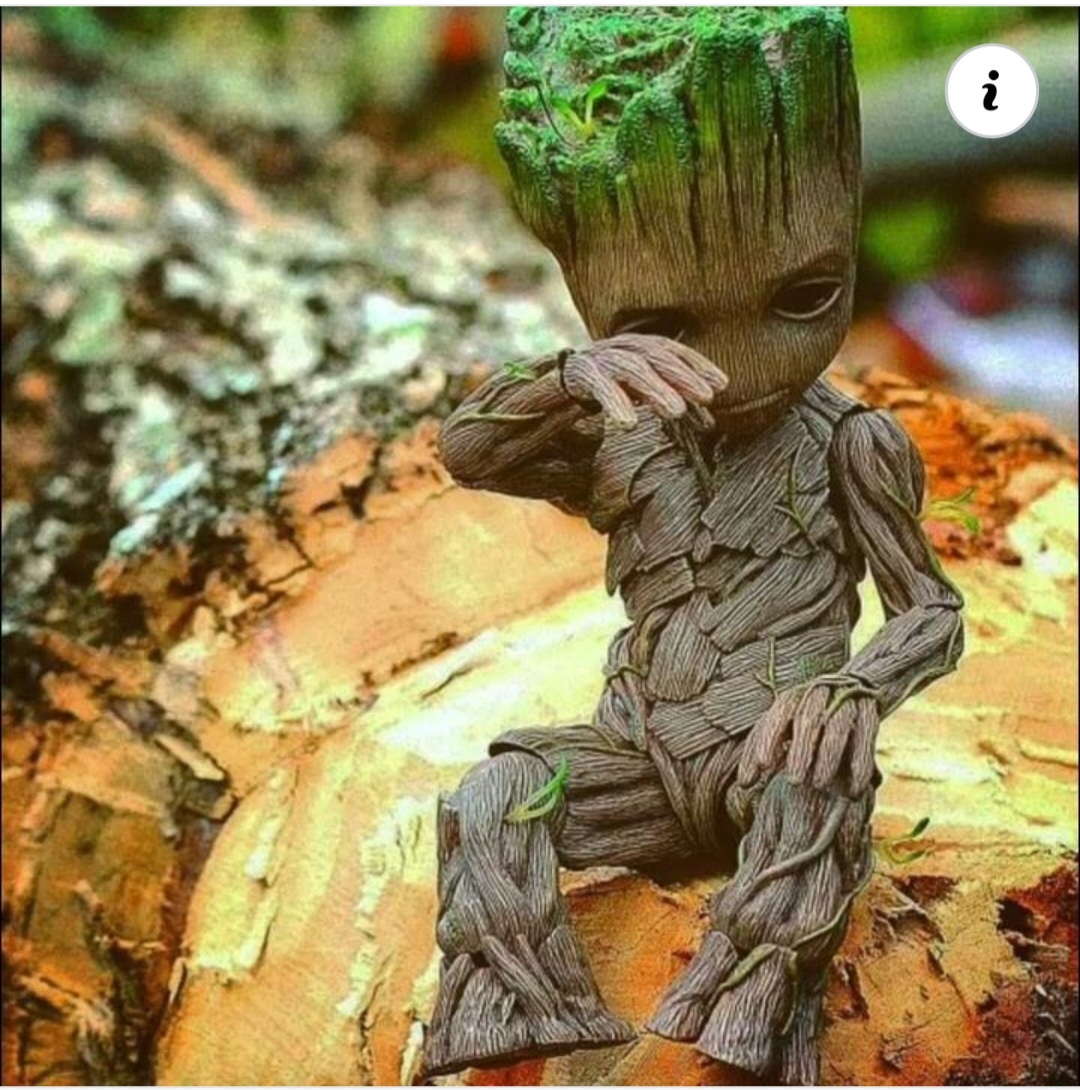 Bu Şiir Değil Aptallığa Vedamdır