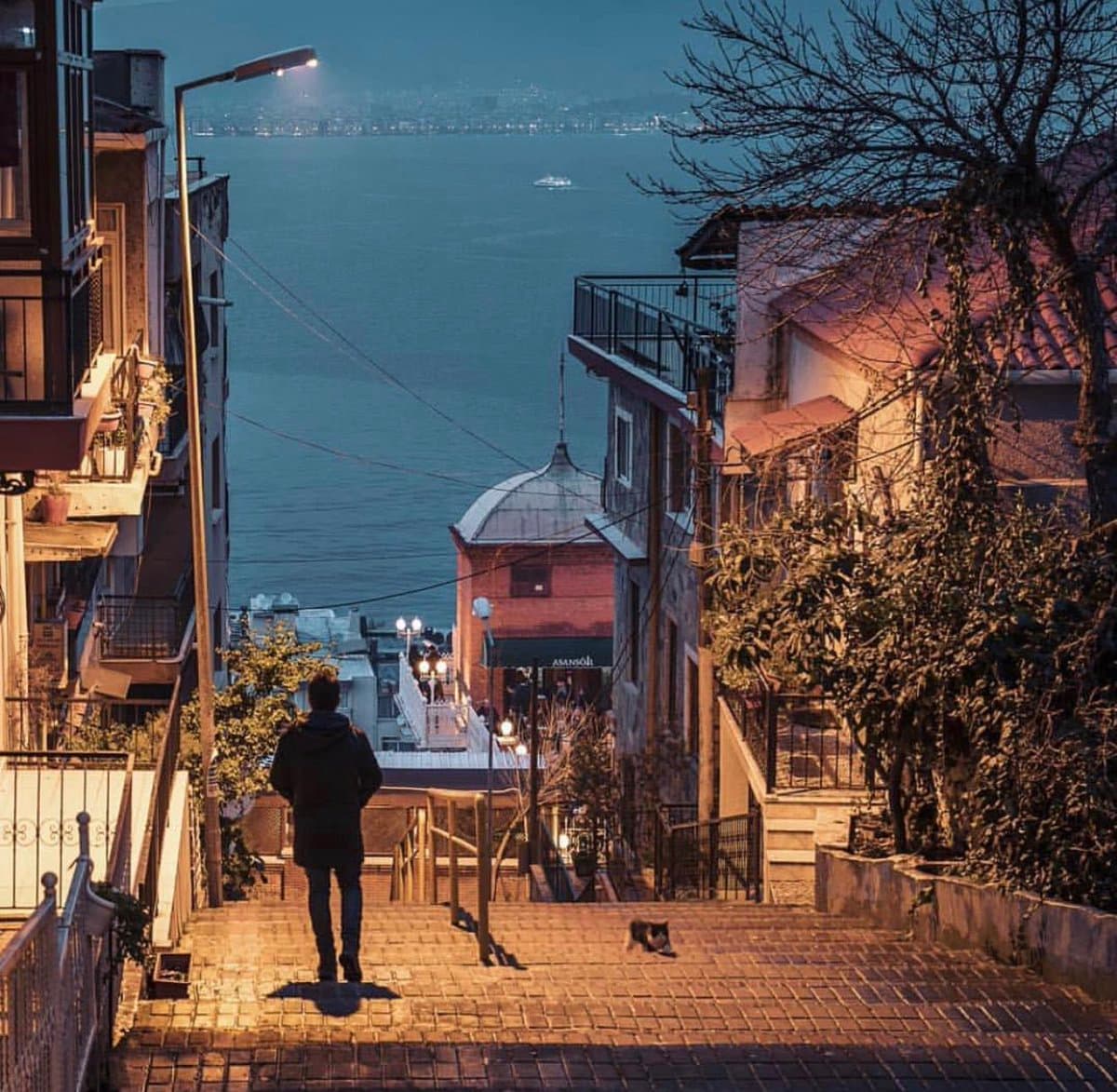 Hâb-ı Hayâl