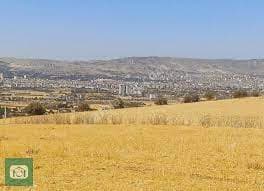 Köyün Tarlası