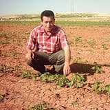 Turgay Tansel