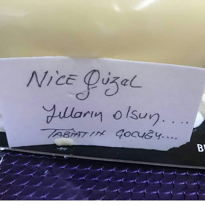 İyi ki Doğdun Diyemeyeceğim