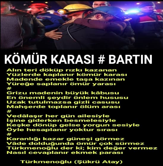 Kömür Karası / Bartın