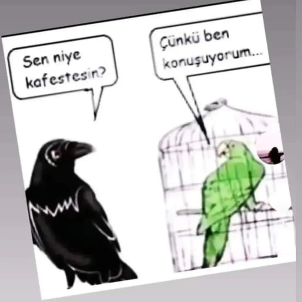 Zavallı Bizler