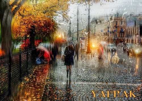 Yaprak