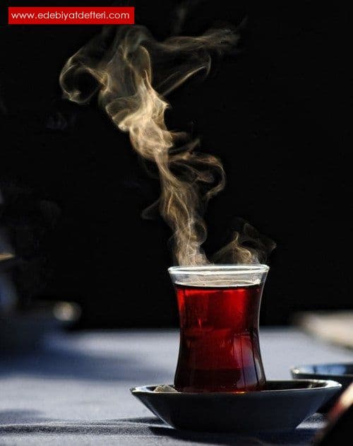 Benim Şiirlerim Çay Kokar