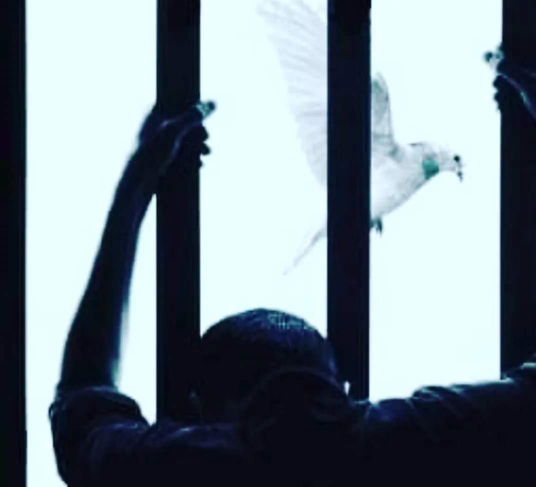 Hala