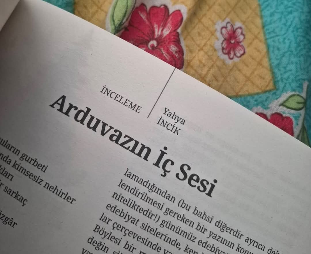 Tülay Yüksel Arduvazın İç Sesi