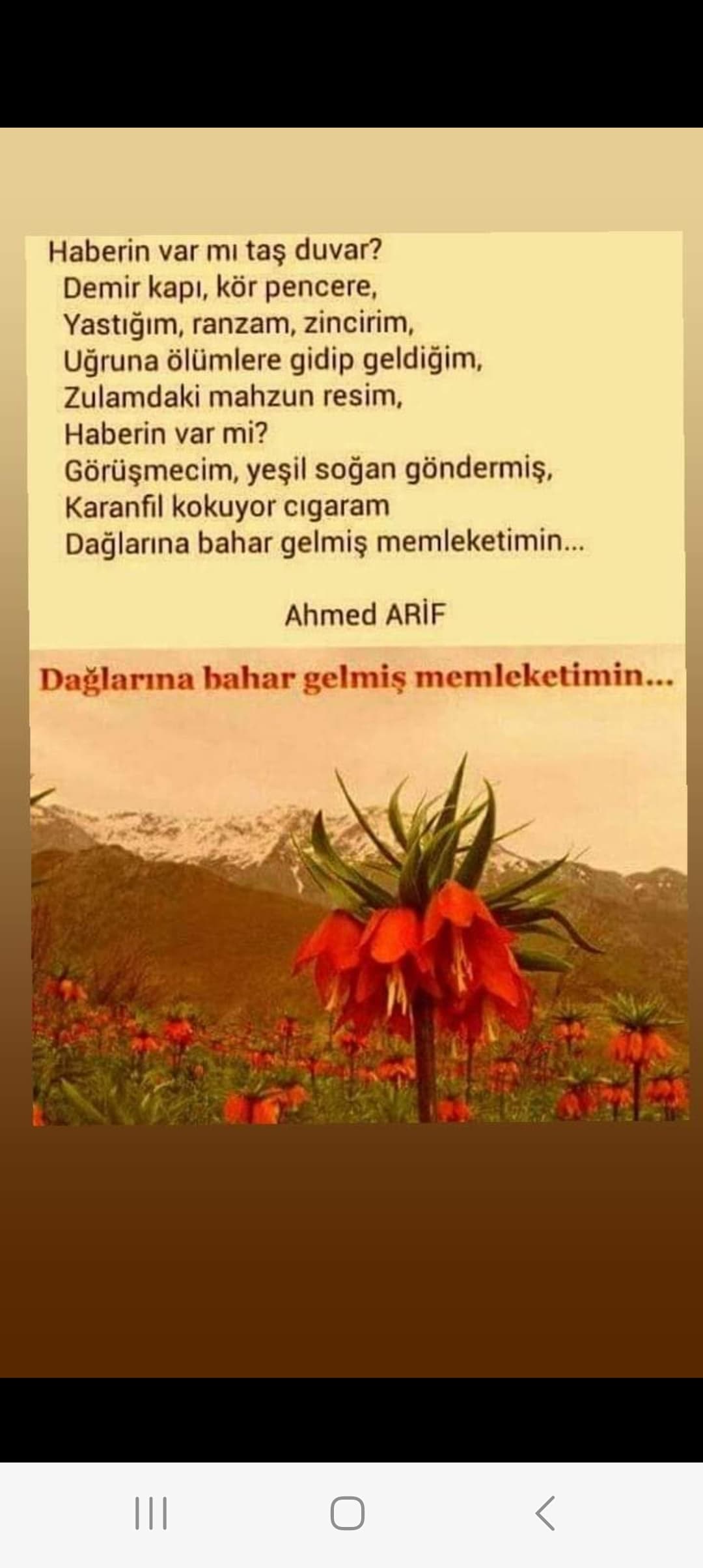 İkilem'im