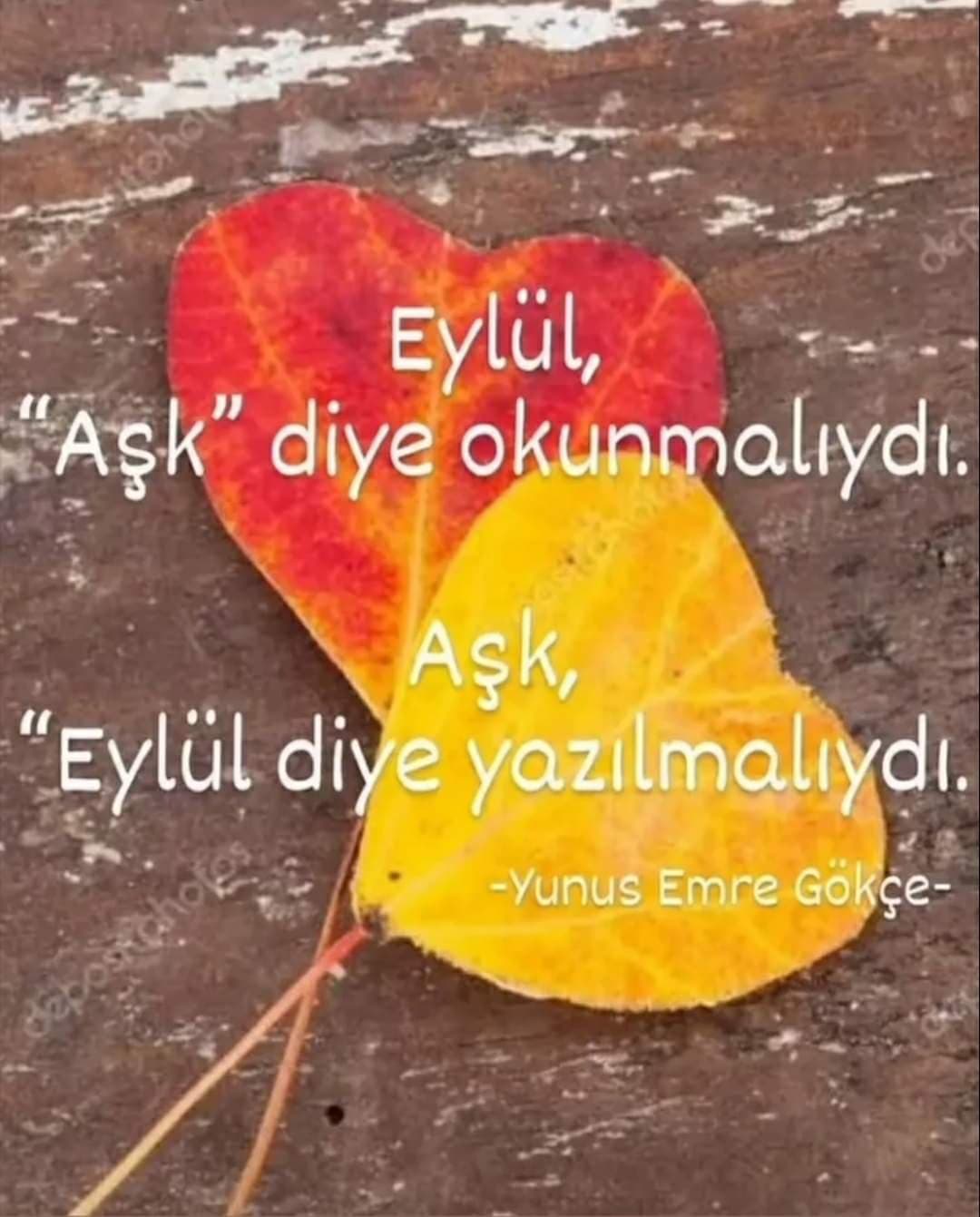 Gecikmiş Mi/l/ad