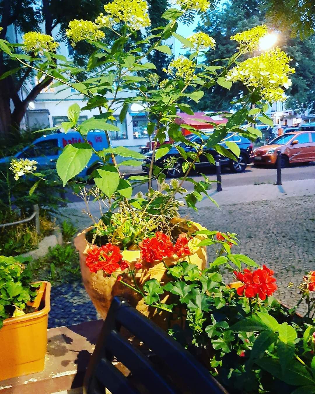 Sevdası Gönül İmiş