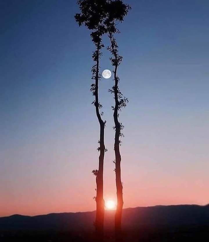 Seni Unutmanın Arefesindeyim