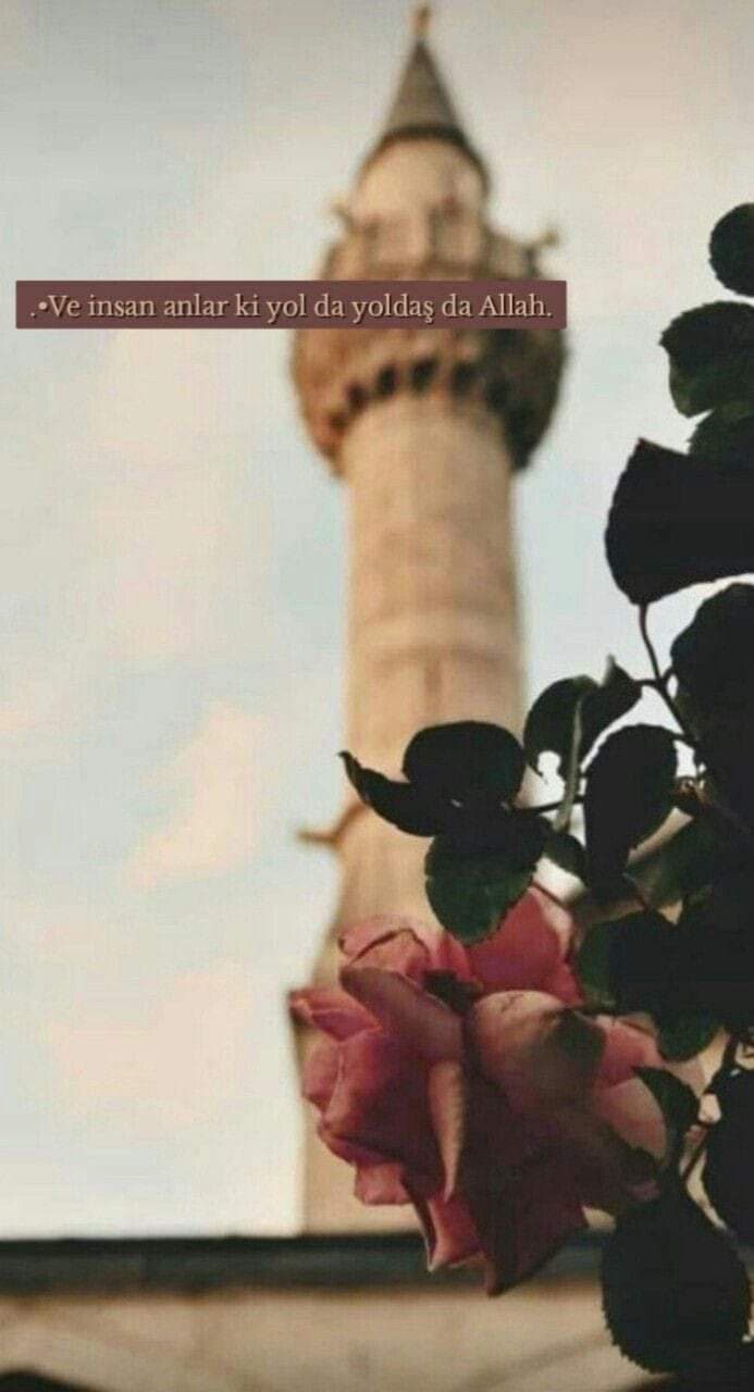 Rabbim Bizleri İnsan Eyleye