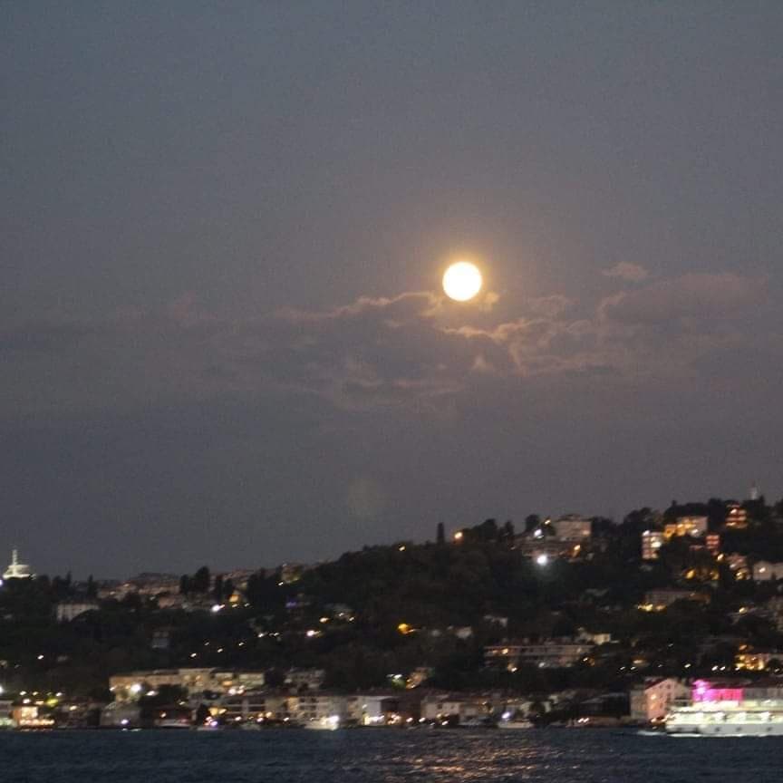 Gecenin Yalnızı