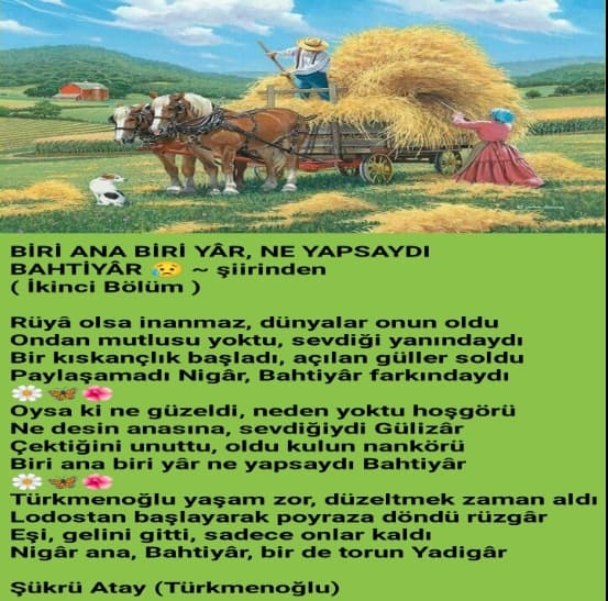Biri Ana Biri Yâr Ne Yapsaydı Bahtiyâr 2 / Öykü Şiir