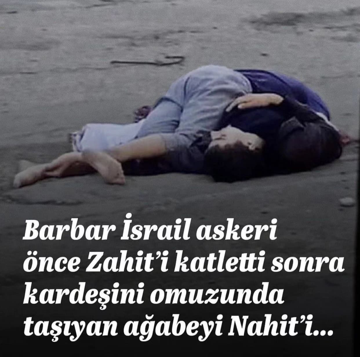 Zahit ve Nahit