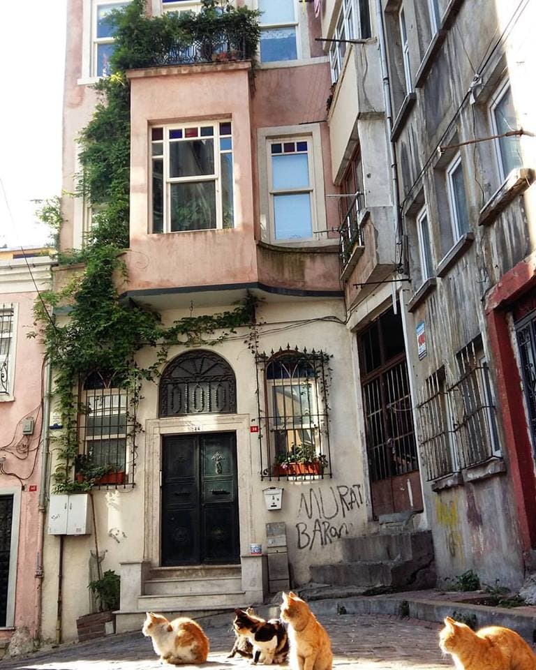 Gün Gelir