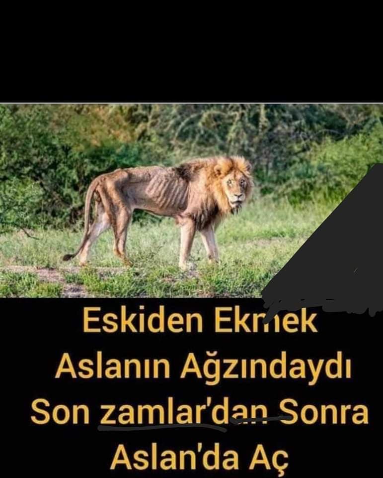 Taban Uyanıyor Taban