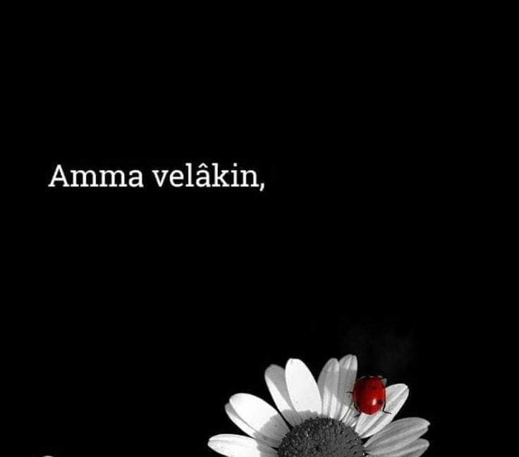 Amma Velakin