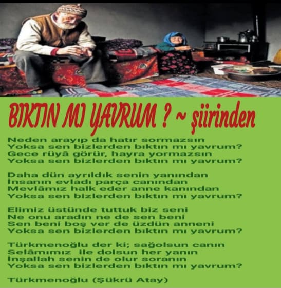 Bıktın Mı Yavrum