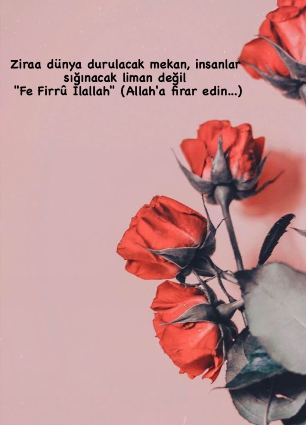 Dayanmak