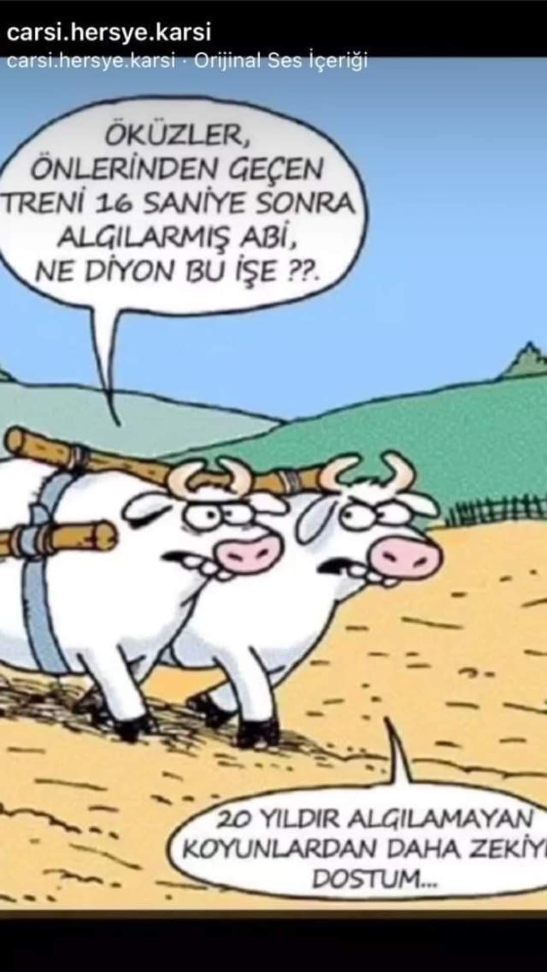 Aklı Küçük Yaşı Büyüklere Mini Minnacık Bir Masal