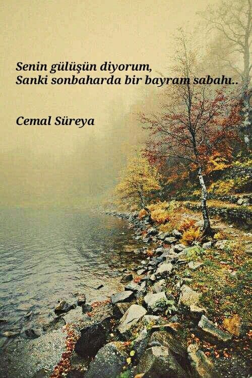 Hata Payı