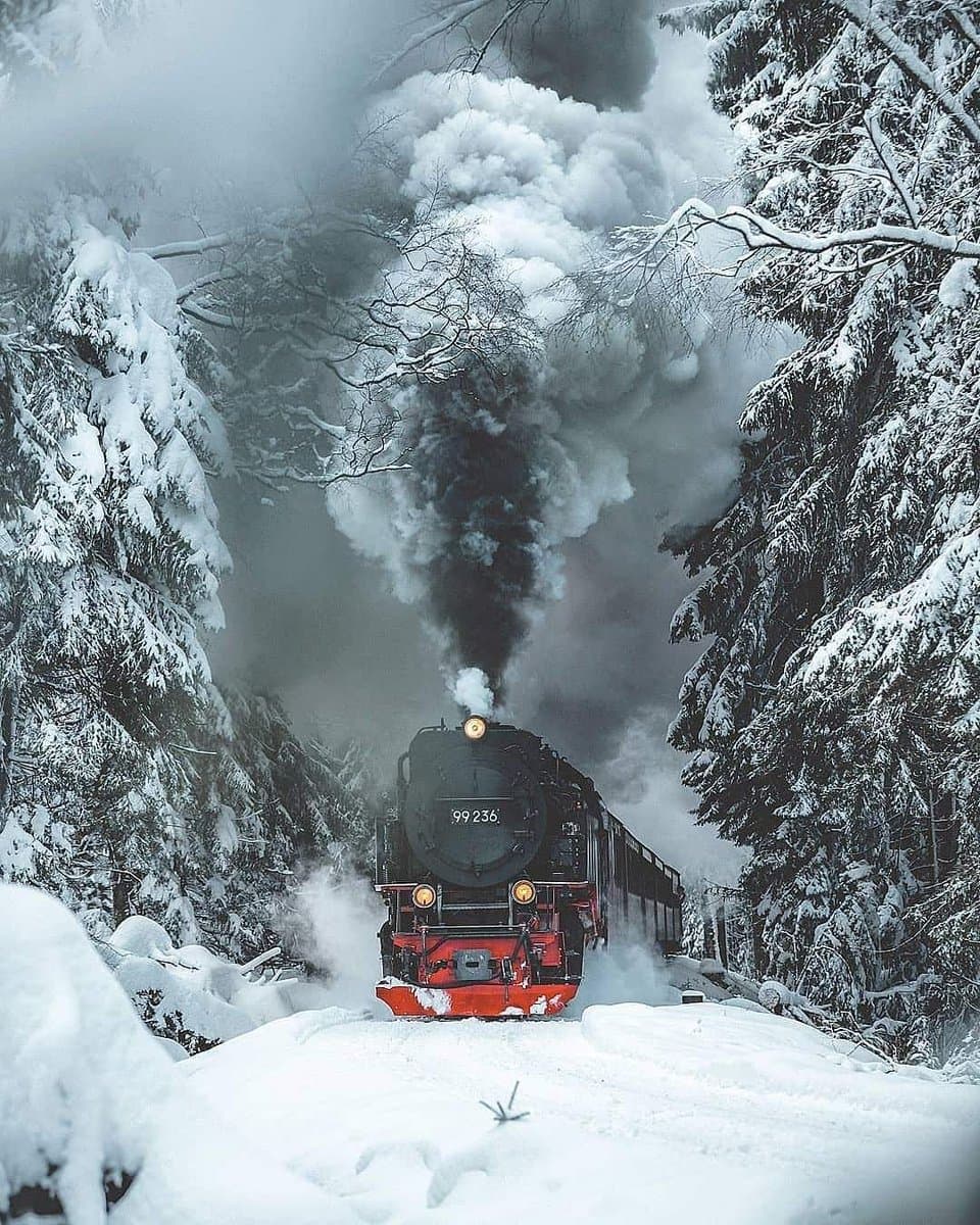 Vesvese Treni