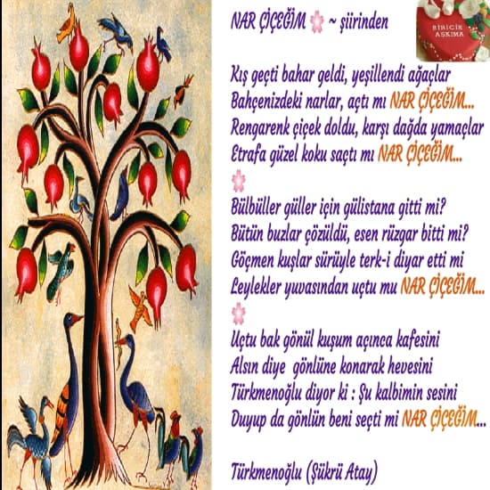 Nar Çiçeğim