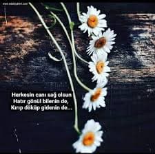 Yıllanmış Şarap Gibi