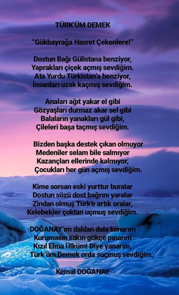 Türküm Demek